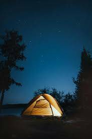 Stars